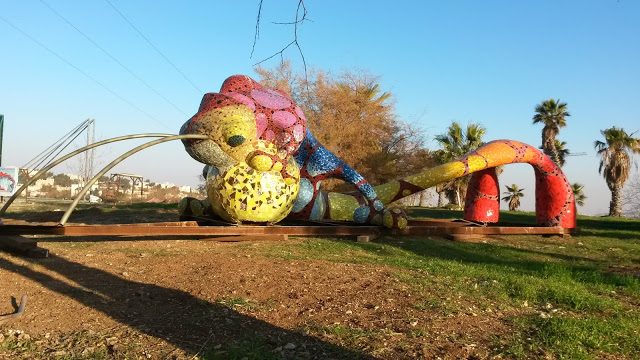 פארק בן גוריון בדימונה לאנשים עם מוגבלויות