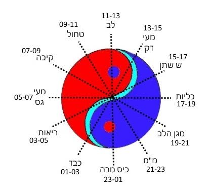 השעון הביולוגי על פי הרפואה הסינית