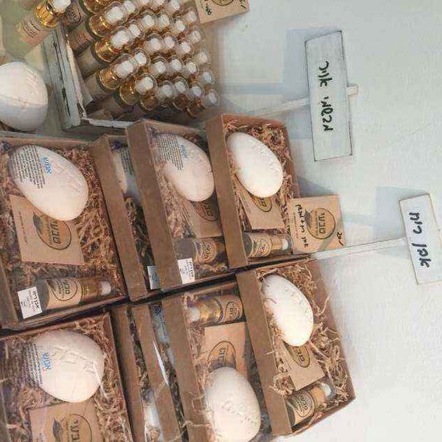 הפסח הזה – כולו תרומה
