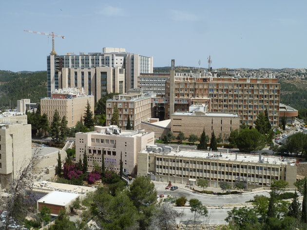 משבר במחלקה האונקולוגית בבית החולים הדסה