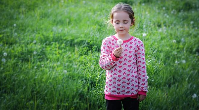 דיון בנושא: "טיפולים בתחום התפתחות הילד – דו"ח מבקר המדינה 67ב"