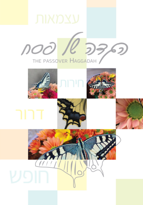 כל ההכנסות ממכירת ההגדות – תרומה לעמותה