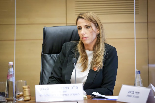 האם הצדק ומערכת המשפט נגישים לילדים עם מוגבלויות?