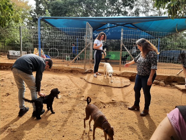 קורס חדש יכשיר צעירים עם מוגבלות לעבודה בשוק החופשי בתחום הכלבנות